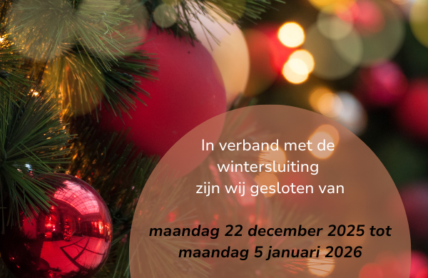 Tijd voor lichtjes en nieuwe dromen